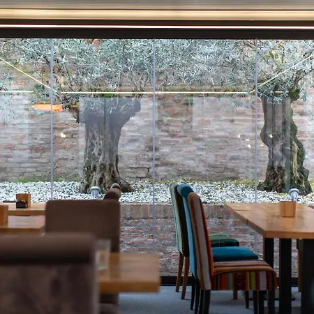 Maxxim & Loft 费拉拉